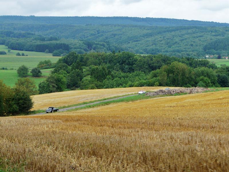 Schwarzwalder Hochwald dag 2- (153).JPG